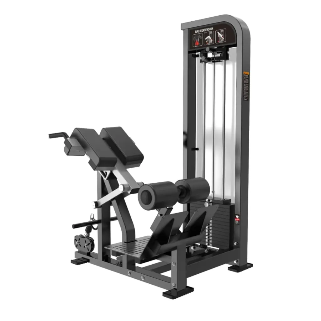 [FHS39] EXTENSION LUMBAR